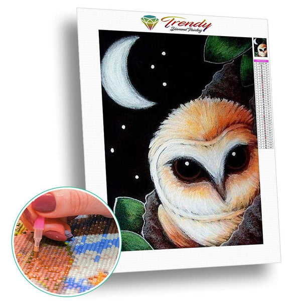 Roudoudou les hiboux - modèle M004 | Broderie diamant toile entière - Animaux Oiseau Produit