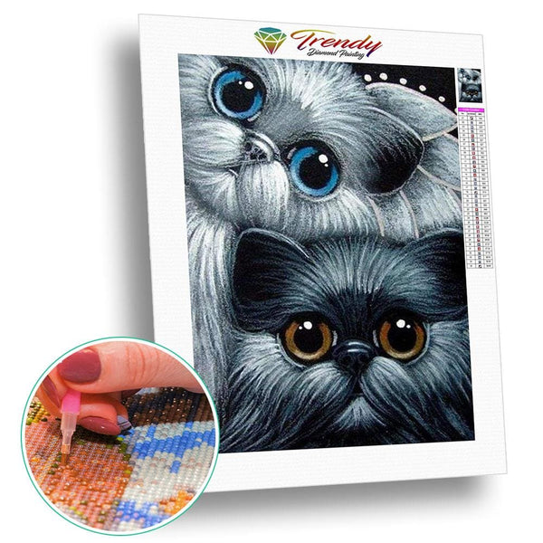 Roudoudou les hiboux - modèle M005 | Broderie point de diamant - Animaux Oiseau Produit