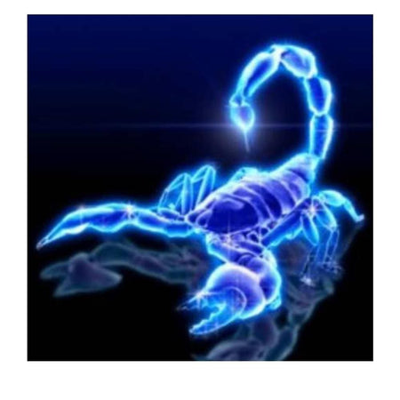 Scorpion ! | Toile de diamant - Animaux Autres animaux Produit