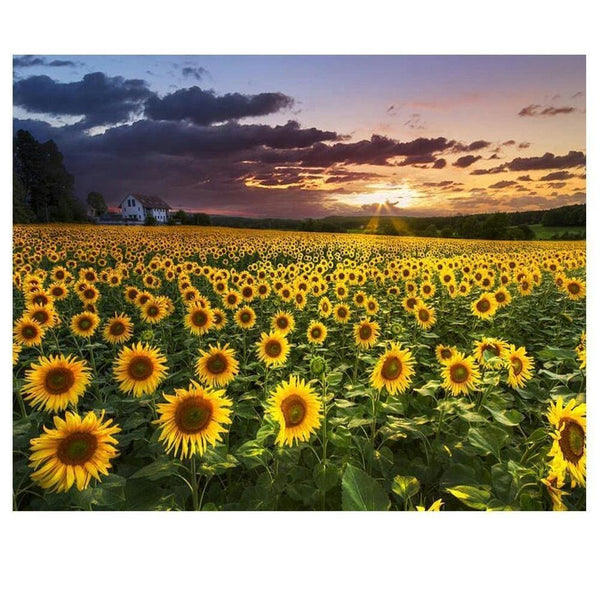 Tournesols à perte de vue | Peinture diamant - Fleur Fleur et plante Paysage Produit Été