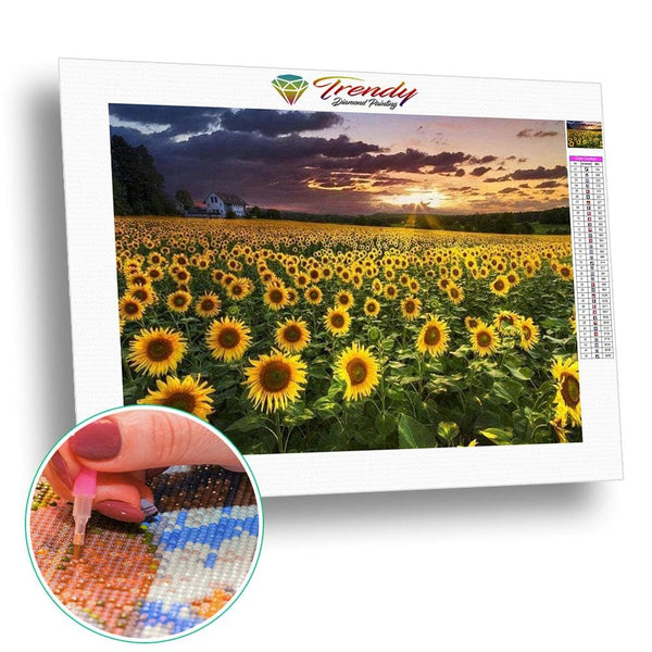 Tournesols à perte de vue | Peinture diamant - Fleur Fleur et plante Paysage Produit Été