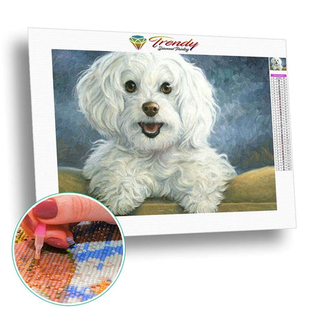 Andrew le petit chien chevelu | Toile de diamant - Animaux Chien Produit
