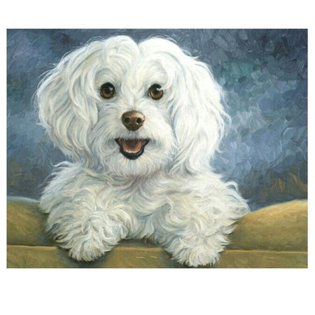 Andrew le petit chien chevelu | Toile de diamant - Animaux Chien Produit