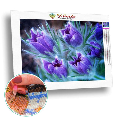 Anémone pulsatille | Tableau de diamant - Fleur Fleur et plante Produit