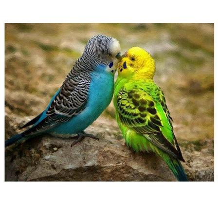 Bisous de perruches | Broderie diamant kit - Animaux Oiseau Produit