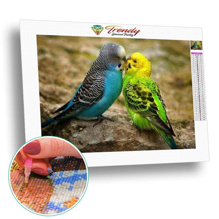 Bisous de perruches | Broderie diamant kit - Animaux Oiseau Produit