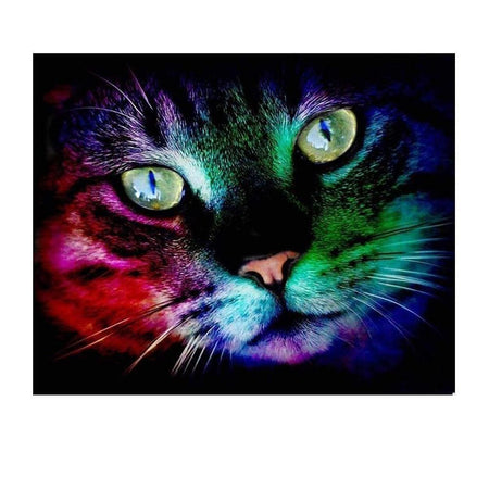 Chat coloré dans le noir | Tableau de diamant - Animaux Chat Produit