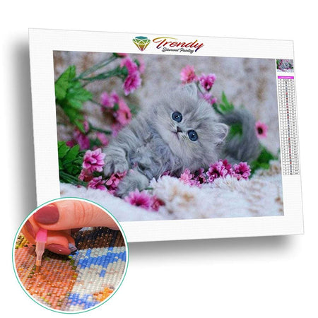Chaton mignon | Kit broderie - Animaux Chat Produit
