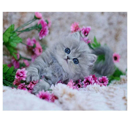 Chaton mignon | Kit broderie - Animaux Chat Produit
