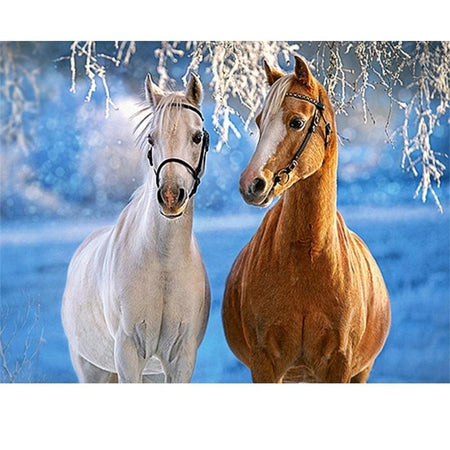 Cheval et sa jument | Toile diamant - Animaux Cheval Produit