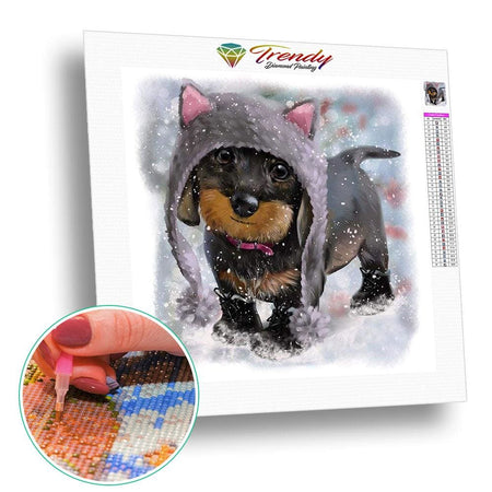 Chien saucisse avec un bonnet de chat | Broderie diamant complet - Animaux Chien Produit