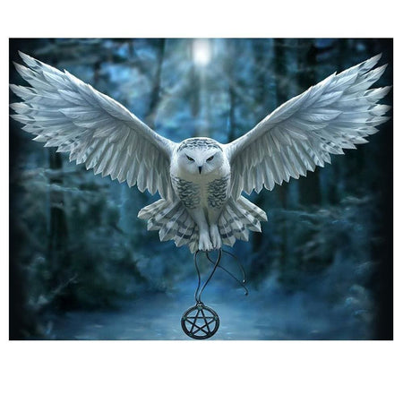 Chouette dreamcatcher | Broderie diamant kit - Animaux Oiseau Produit