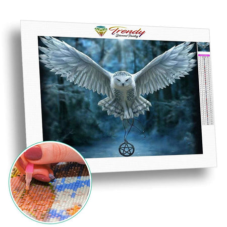 Chouette dreamcatcher | Broderie diamant kit - Animaux Oiseau Produit
