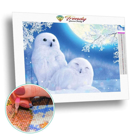 Chouettes blanches | Broderie diamant toile entière - Animaux oiseau Produit