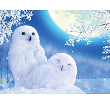 Chouettes blanches | Broderie diamant toile entière - Animaux oiseau Produit