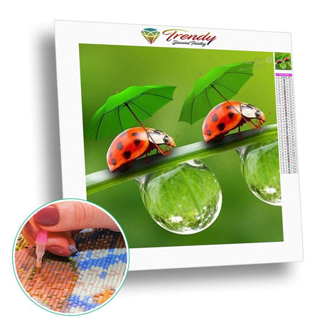 Coccinelles parapluies | Caneva diamant - Animaux Autres animaux Produit