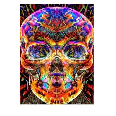 Crane colorfull | Diamond painting complet - Gothic Produit