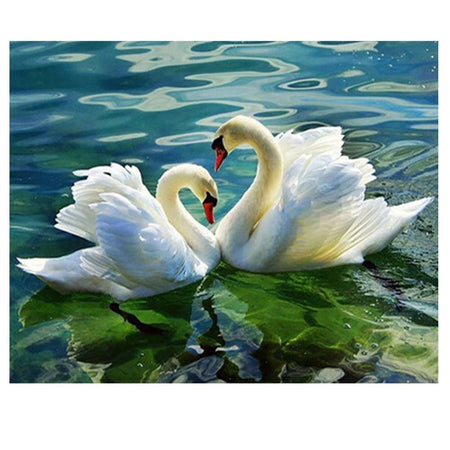 Cygnes amoureux | Broderie diamant - Animaux oiseau Produit