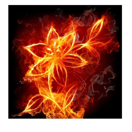 Fleur de lys enflamée | Caneva diamant - Fleur Fleur et plante Produit