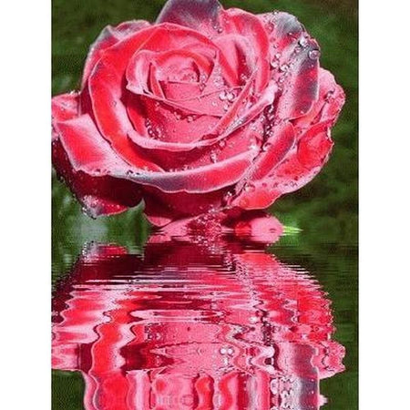 Fleur goutte deau avec son reflet - modèle M006 | Toile de diamant - Fleur Fleur et plante Produit