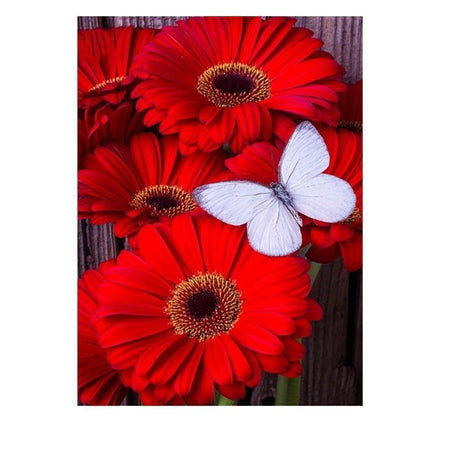 Gerberas rouge sang | Kit de broderie de diamant - Fleur Fleur et plante Produit