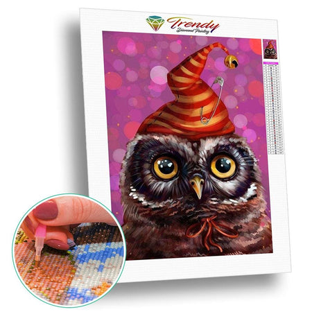 Hibou et bonnet à clochette | Toile diamant - Animaux Oiseau Produit