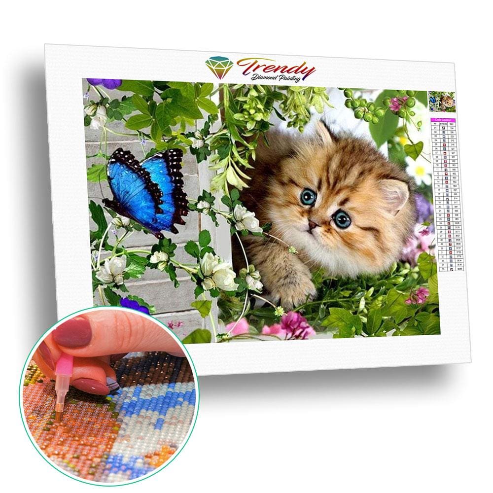 Ho quel beau papillon ! | Peinture diamant - Animaux Chat Papillon Produit