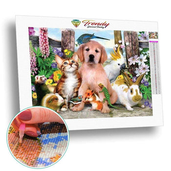 La bande à diego | Toile diamant - Animaux Autres animaux Chat Chien Oiseau