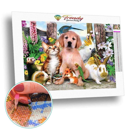 La bande à diego | Toile diamant - Animaux Autres animaux Chat Chien Oiseau