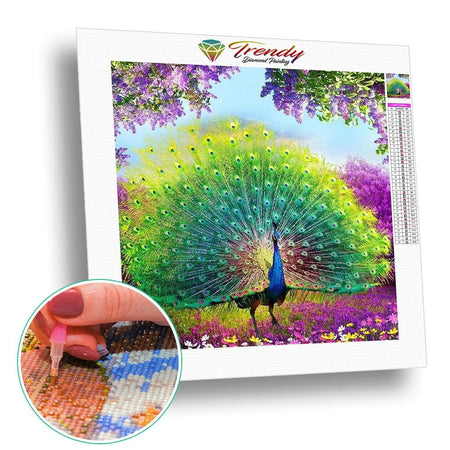 La roue du paon dans toute sa splendeur | Kit broderie - Animaux Oiseau Produit