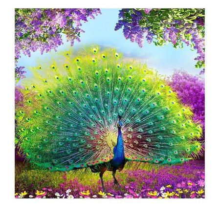 La roue du paon dans toute sa splendeur | Kit broderie - Animaux Oiseau Produit