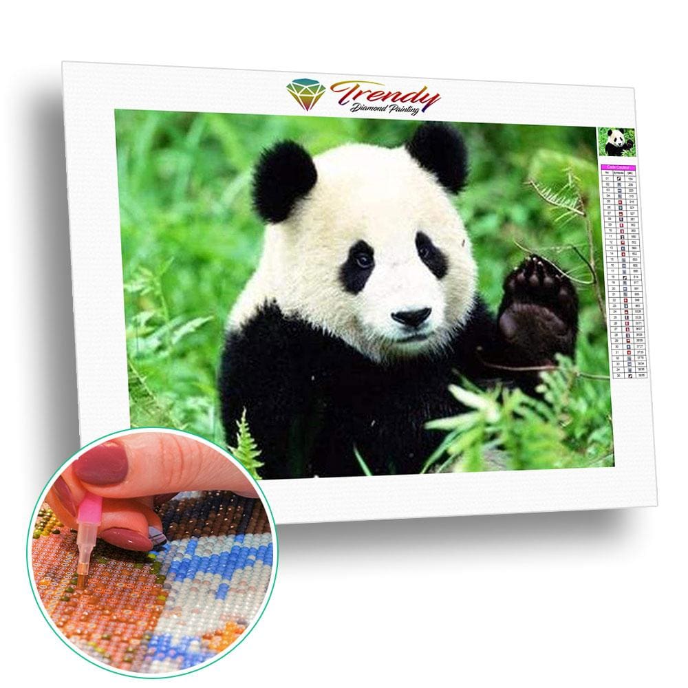 Le panda dans tout ses états - modèle M001 | Toile diamant - Animaux Panda Produit