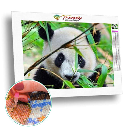 Le panda dans tout ses états - modèle M002 | Tableau diamant - Animaux Panda Produit