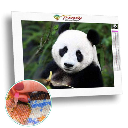 Le panda dans tout ses états - modèle M003 | Peinture diamant - Animaux Panda Produit