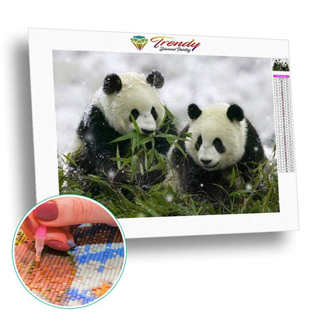 Le panda dans tout ses états - modèle M009 | Diamond Painting - Animaux Panda Produit