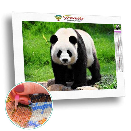 Le panda dans tout ses états - modèle M011 | Broderie diamant kit complet - Animaux Panda Produit