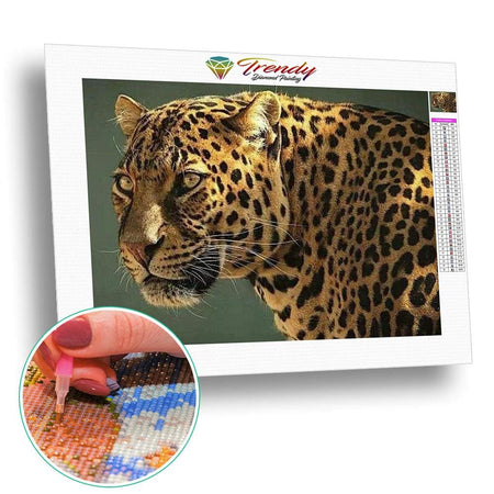 Léopard au repos - modèle M001 | Broderie diamant toile entière - Animaux Léopard Produit