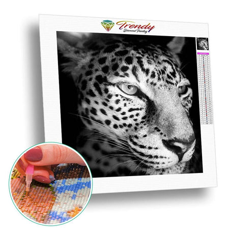 Léopard sur fond noir - modèle M002 | Broderie diamant toile entière - Animaux Léopard Produit