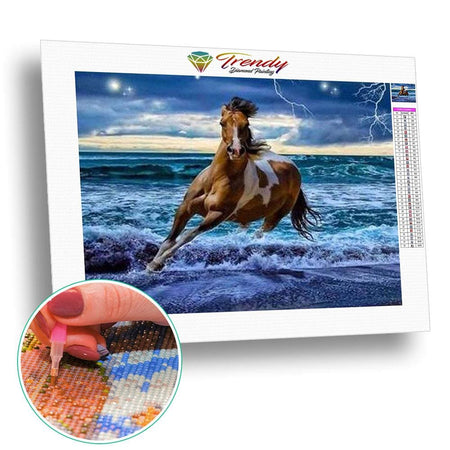 Les chevaux de la liberté - modèle M004 | Broderie point de diamant - Animaux Cheval Produit