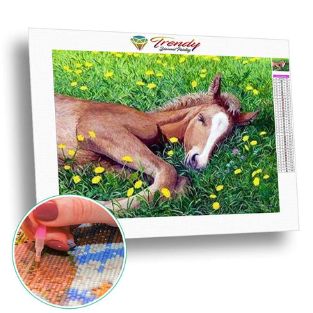 Les chevaux de la liberté - modèle M006 | Diamond painting kit - Animaux Cheval Produit