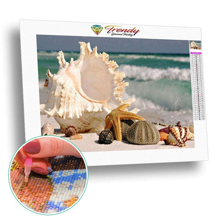 Les coquillages de la mer | Peinture diamant - Paysage Produit À la mer