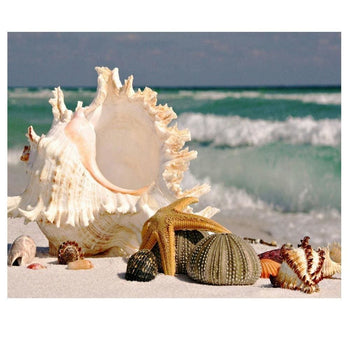 Les coquillages de la mer | Peinture diamant - Paysage Produit À la mer