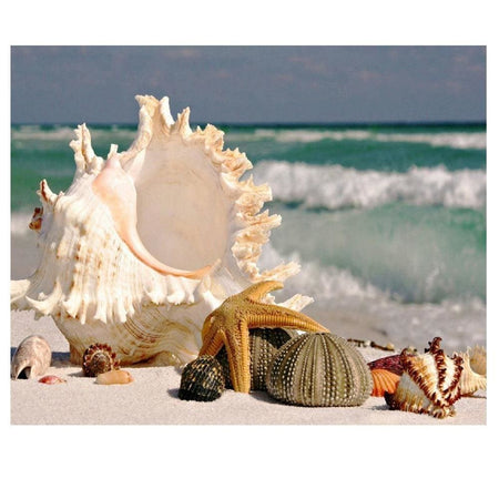 Les coquillages de la mer | Peinture diamant - Paysage Produit À la mer