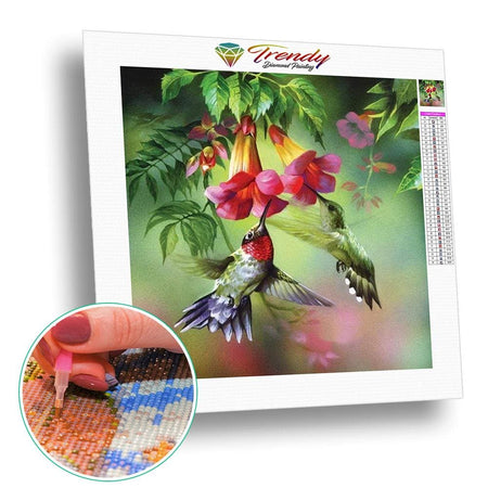 Les petits colibris | Kit broderie diamant - Animaux Oiseau Produit