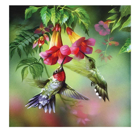 Les petits colibris | Kit broderie diamant - Animaux Oiseau Produit