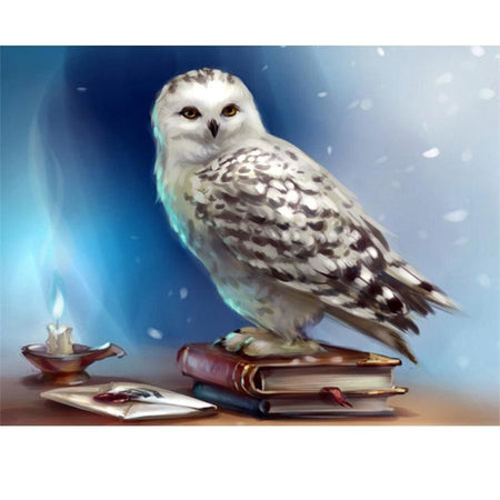 Lhistoire de la chouette | Caneva diamant - Animaux Oiseau Produit