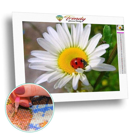 Marguerite et sa petite coccinelle | Tableau de diamant - Fleur Fleur et plante Produit