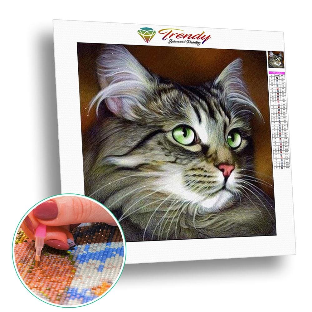 Broderie diamant Chat multicolore - 50x50 cm - complète - diamants carré Broderie diamant Chat multicolore - 50x50 cm - complète - diamants carré