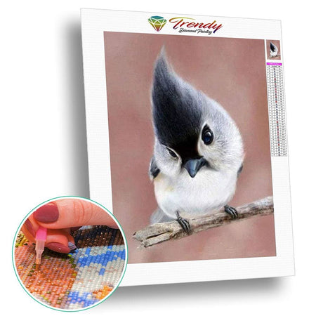 Oiseau à mèche | Broderie de diamant - Animaux Oiseau Produit