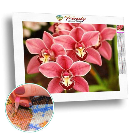 Orchidées rose orangé - modèle M001 | Peinture diamant - Fleur Fleur et plante Produit